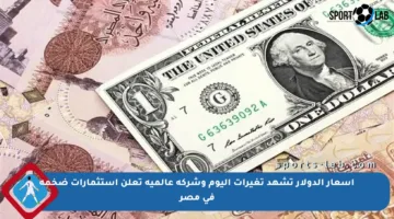 أسعار الدولار تشهد تغيرات اليوم وشركة عالمية تعلن استثمارات ضخمة في مصر